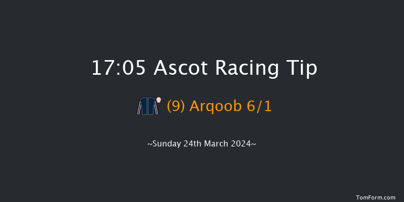 Ascot  17:05 Handicap Hurdle (Class 3) 22f Sat 17th Feb 2024