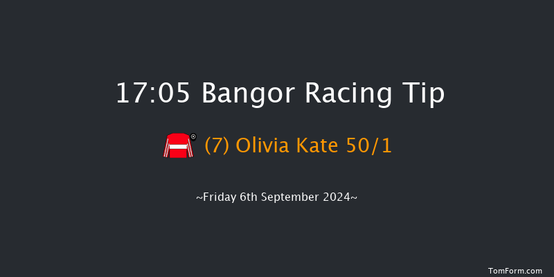 Bangor-on-dee  17:05 Handicap Hurdle (Class 5) 17f Fri 28th Jun 2024