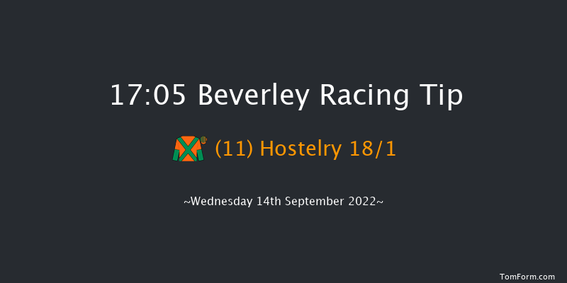 Beverley 17:05 Handicap (Class 5) 10f Sun 28th Aug 2022