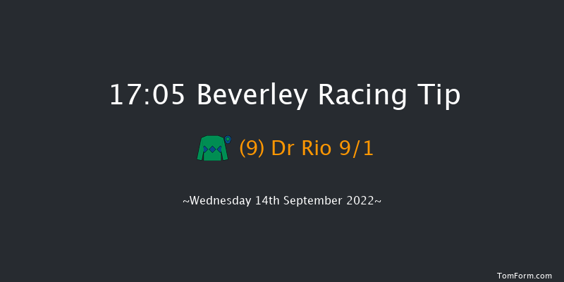 Beverley 17:05 Handicap (Class 5) 10f Sun 28th Aug 2022