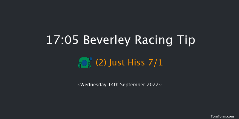 Beverley 17:05 Handicap (Class 5) 10f Sun 28th Aug 2022