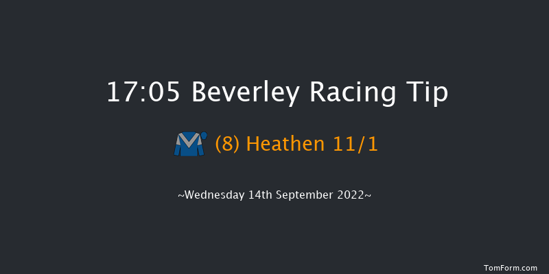 Beverley 17:05 Handicap (Class 5) 10f Sun 28th Aug 2022