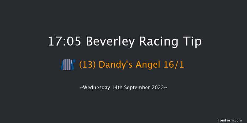 Beverley 17:05 Handicap (Class 5) 10f Sun 28th Aug 2022