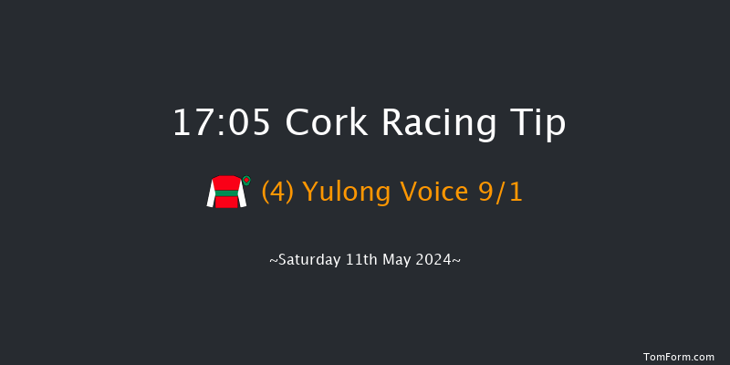 Cork  17:05 Handicap Hurdle 24f Fri 10th May 2024