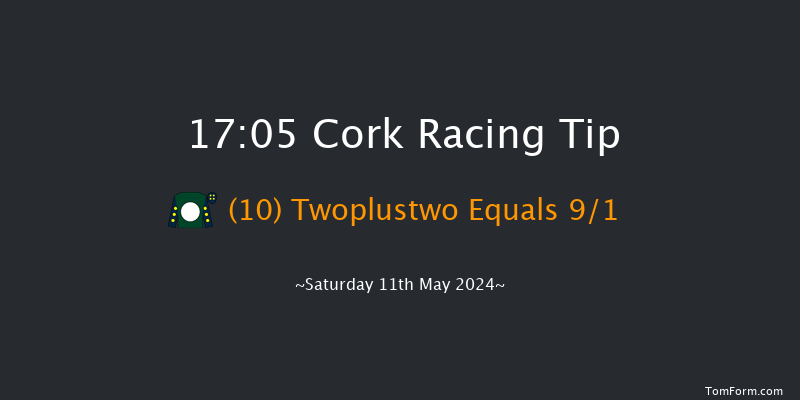 Cork  17:05 Handicap Hurdle 24f Fri 10th May 2024