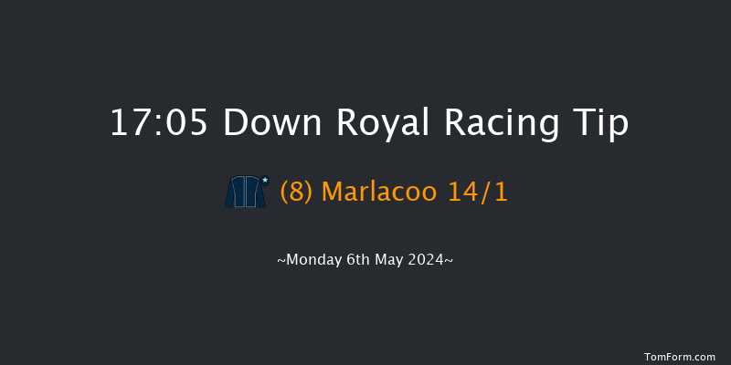 Down Royal  17:05 NH Flat Race 17f Sun 14th Apr 2024