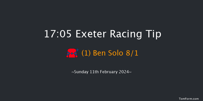 Exeter  17:05 NH Flat Race (Class 2) 17f Wed 31st Jan 2024