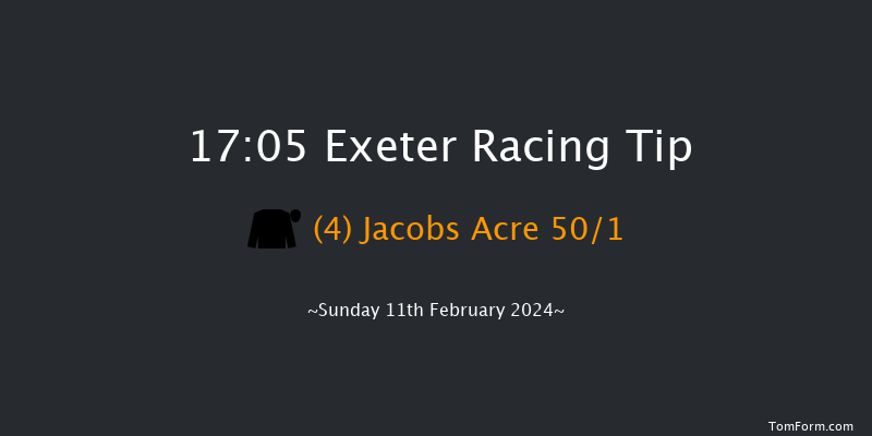 Exeter  17:05 NH Flat Race (Class 2) 17f Wed 31st Jan 2024