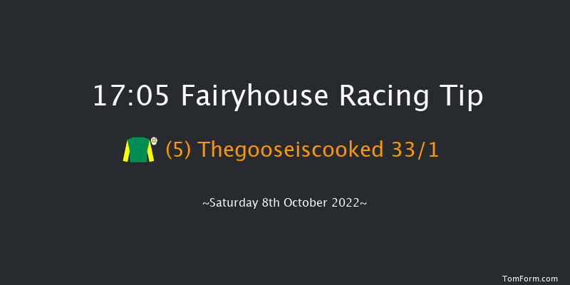 Fairyhouse 17:05 Handicap Hurdle 16f Mon 19th Sep 2022