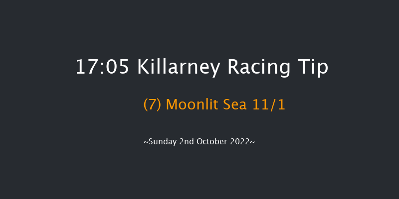 Killarney 17:05 Handicap Chase 17f Sat 1st Oct 2022