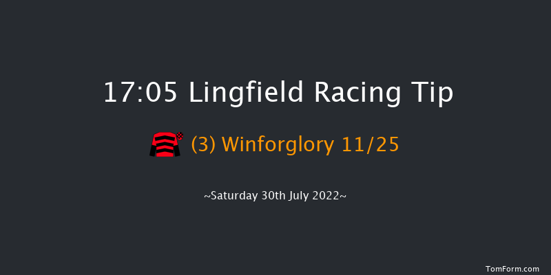 Lingfield 17:05 Stakes (Class 5) 8f Sat 23rd Jul 2022