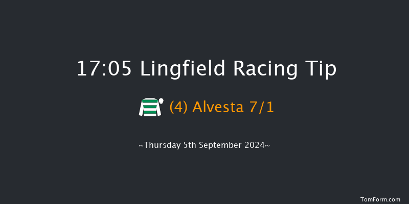 Lingfield  17:05 Handicap (Class 5) 10f Wed 4th Sep 2024