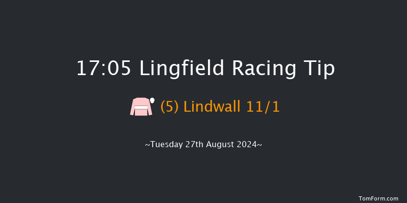 Lingfield  17:05 Handicap (Class 5) 16f Thu 22nd Aug 2024