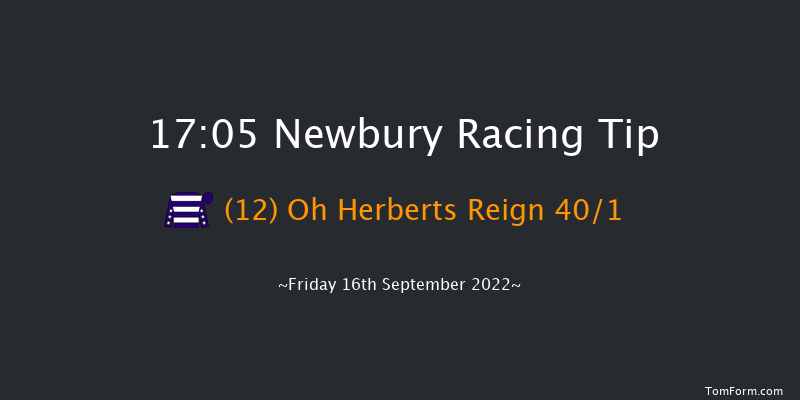 Newbury 17:05 Handicap (Class 4) 10f Fri 19th Aug 2022