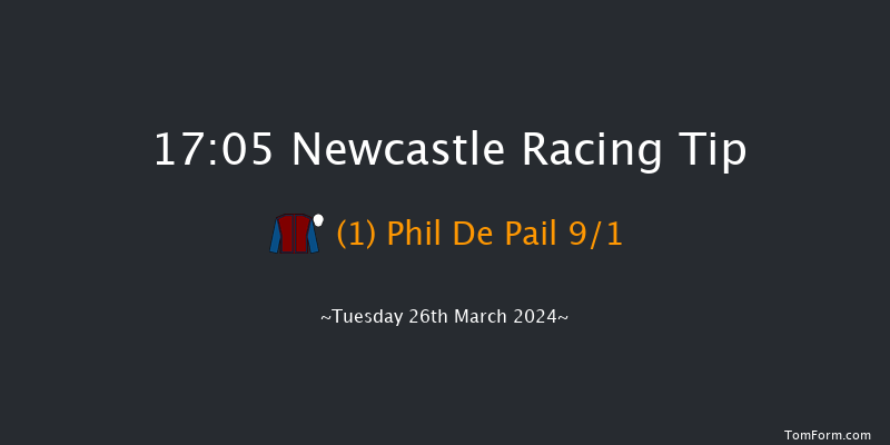 Newcastle  17:05 Handicap Hurdle (Class 5)
24f Mon 25th Mar 2024