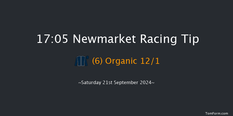 Newmarket  17:05 Handicap (Class 4) 9f Sat 24th Aug 2024