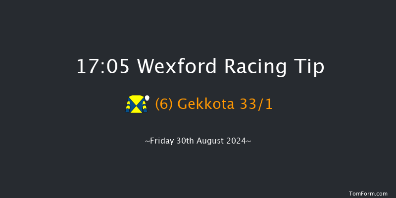 Wexford  17:05 Handicap Hurdle 20f Sat 13th Jul 2024