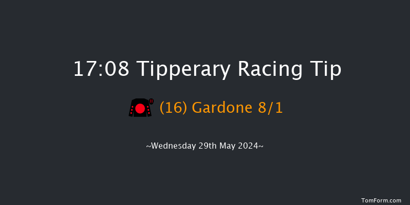 Tipperary  17:08 Handicap 12f Tue 28th May 2024