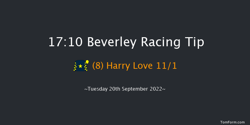 Beverley 17:10 Handicap (Class 6) 8f Wed 14th Sep 2022