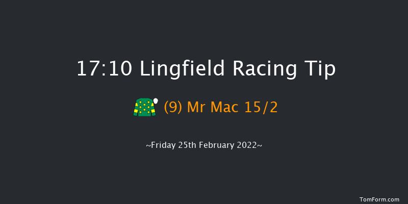 Lingfield 17:10 Handicap (Class 6) 8f Sat 19th Feb 2022