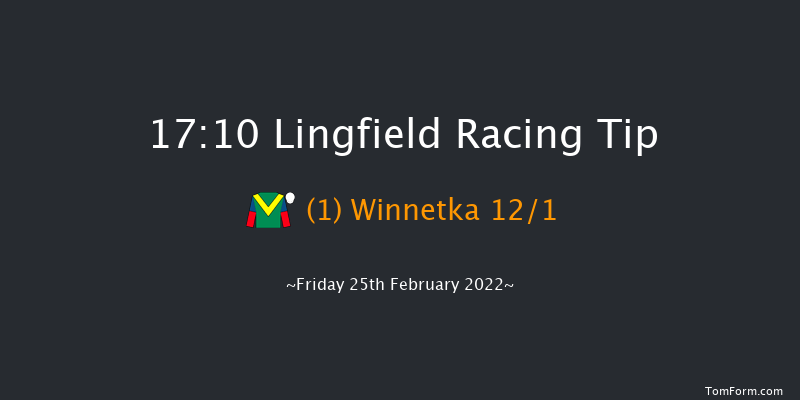 Lingfield 17:10 Handicap (Class 6) 8f Sat 19th Feb 2022