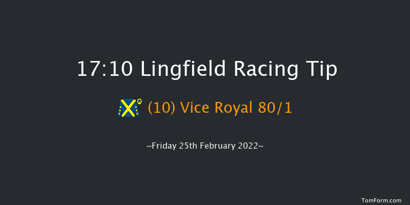 Lingfield 17:10 Handicap (Class 6) 8f Sat 19th Feb 2022