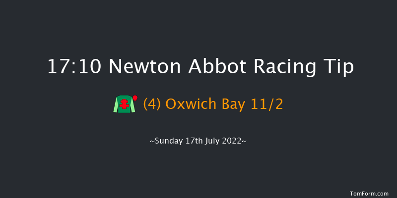 Newton Abbot 17:10 Handicap Hurdle (Class 4) 26f Mon 11th Jul 2022