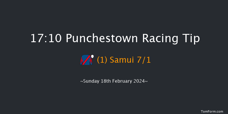 Punchestown  17:10 Stakes 16f Mon 5th Feb 2024