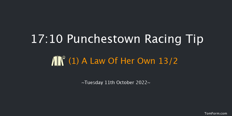 Punchestown 17:10 NH Flat Race 16f Tue 13th Sep 2022