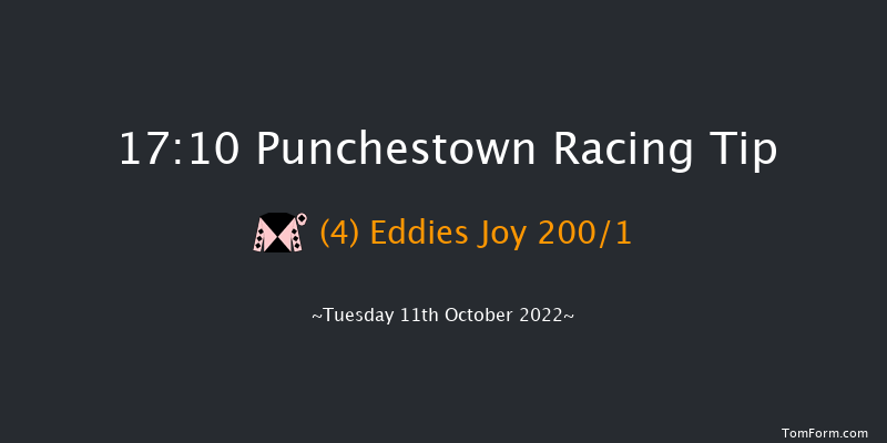 Punchestown 17:10 NH Flat Race 16f Tue 13th Sep 2022