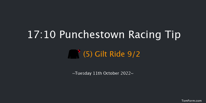 Punchestown 17:10 NH Flat Race 16f Tue 13th Sep 2022