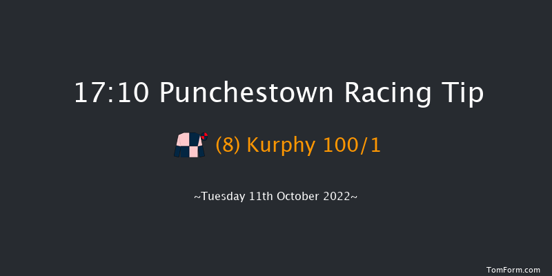 Punchestown 17:10 NH Flat Race 16f Tue 13th Sep 2022