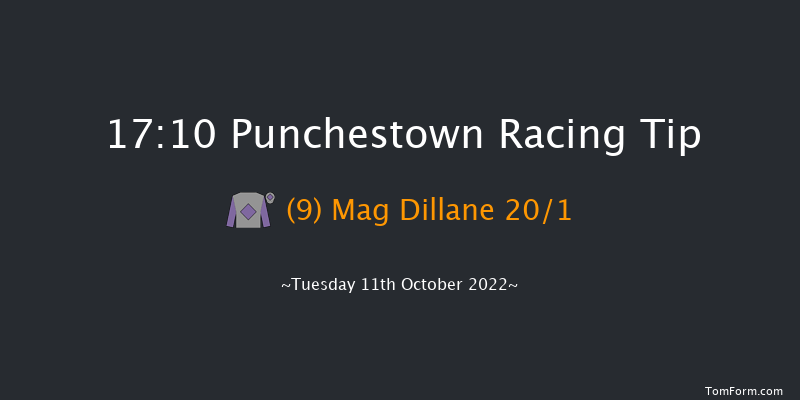 Punchestown 17:10 NH Flat Race 16f Tue 13th Sep 2022