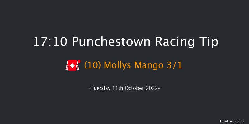 Punchestown 17:10 NH Flat Race 16f Tue 13th Sep 2022