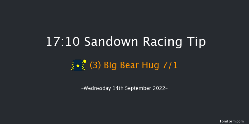 Sandown 17:10 Handicap (Class 5) 10f Sun 21st Aug 2022