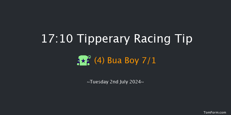 Tipperary  17:10 Maiden Chase 20f Wed 29th May 2024