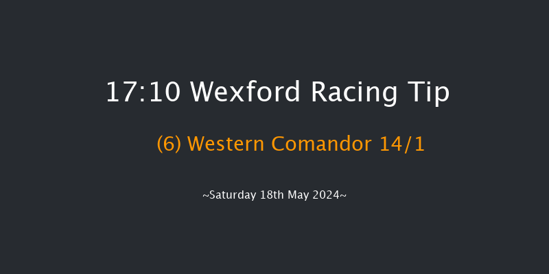 Wexford  17:10 Handicap Chase 25f Thu 25th Apr 2024