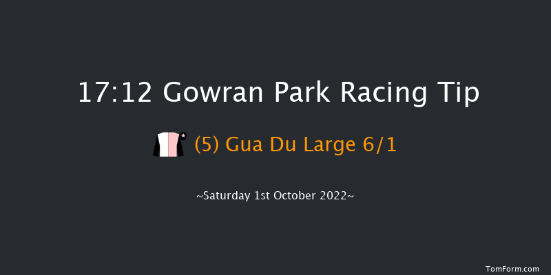 Gowran Park 17:12 Maiden Chase 20f Fri 30th Sep 2022