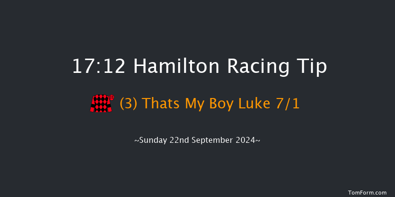 Hamilton  17:12 Handicap (Class 6) 12f Wed 4th Sep 2024