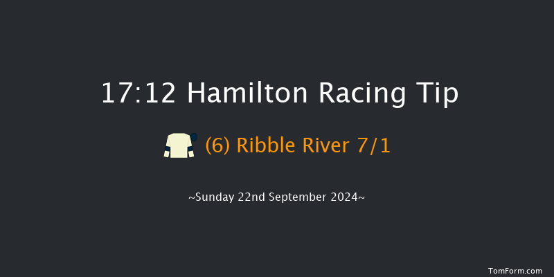 Hamilton  17:12 Handicap (Class 6) 12f Wed 4th Sep 2024