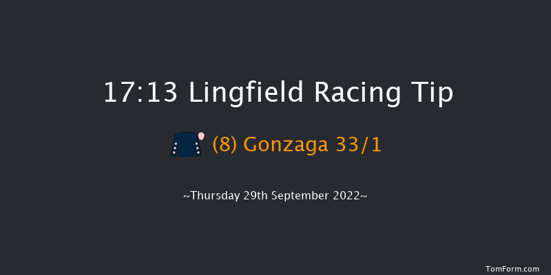 Lingfield 17:13 Handicap (Class 6) 8f Tue 20th Sep 2022