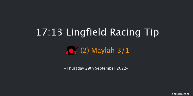 Lingfield 17:13 Handicap (Class 6) 8f Tue 20th Sep 2022