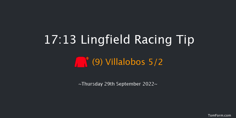 Lingfield 17:13 Handicap (Class 6) 8f Tue 20th Sep 2022