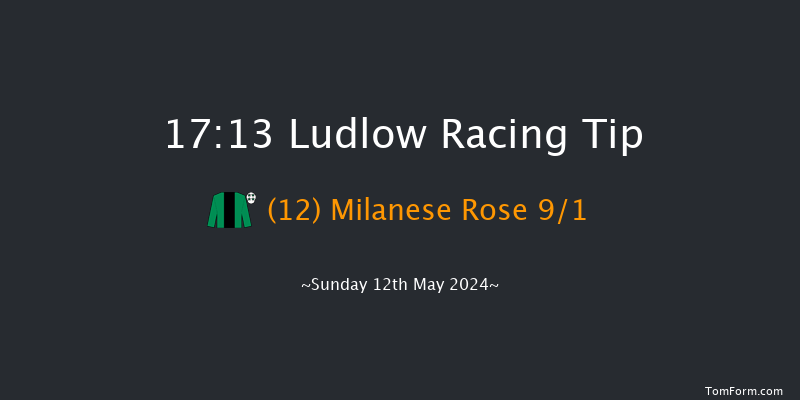 Ludlow  17:13 Handicap Hurdle (Class 5) 24f Wed 24th Apr 2024