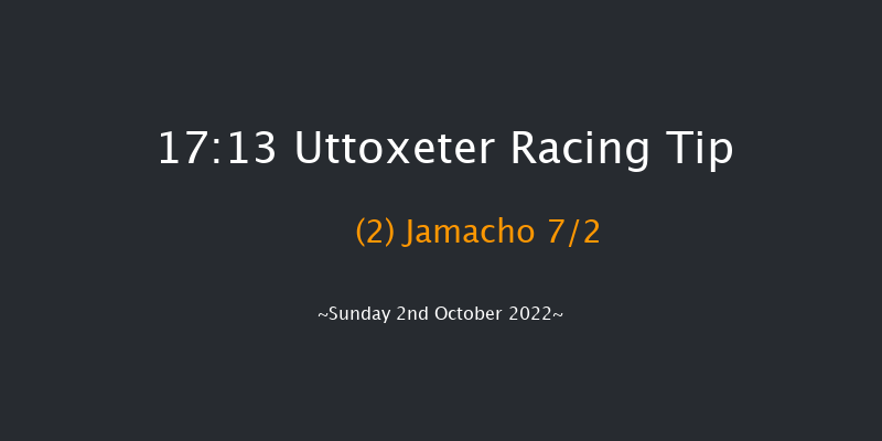 Uttoxeter 17:13 Handicap Chase (Class 4) 16f Tue 13th Sep 2022