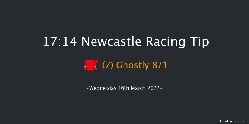 Newcastle 17:14 Handicap (Class 6) 12f Tue 15th Mar 2022