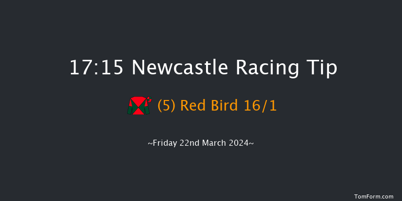 Newcastle  17:15 Stakes (Class 6) 10f Mon 18th Mar 2024