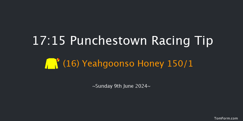 Punchestown  17:15 NH Flat
Race 17f Sat 8th Jun 2024