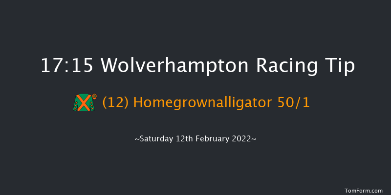 Wolverhampton 17:15 Handicap (Class 6) 9f Mon 7th Feb 2022