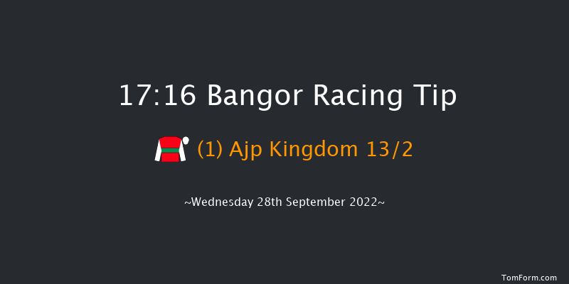 Bangor 17:16 NH Flat Race (Class 4) 17f Tue 23rd Aug 2022